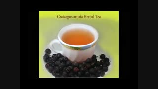 hawthorn berry in iran / zalzalak