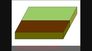 گسل پر مانند ( Splay Fault )