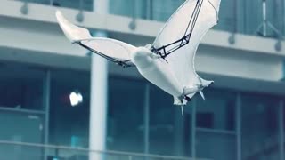 ربات الهام گرفته شده از خفاش Festo