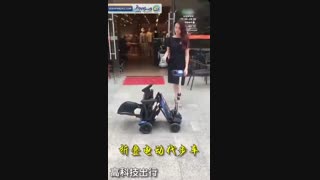 دوچرخه تاشو و قابل حمل