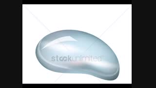 سلول و سازمان بندی آن