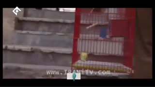 سریال نجوا - 42 - Najva