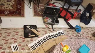 کوک و رگلاژ کامل پیانو ۰۹۱۲۵۶۳۳۸۹۵