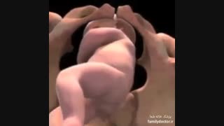 فیلم زایمان طبیعی