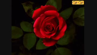 خیلی عذر می خام توضیحات