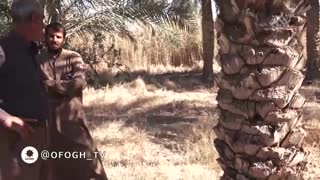 فوت کوزه گری