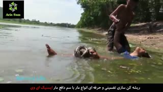 حمله باورنکردنی مار آناکوندا به مردم!!!