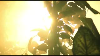 چرا احساس تنهایی می‌کنیم؟  این کلیپ ویژه را از دست ندهید!