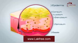 ساختار پوست چگونه است؟