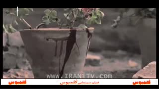 سریال نجوا - 44 - Najva