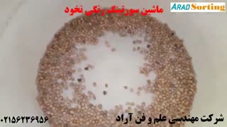 ماشین سورتینگ رنگی حبوبات - سورتینگ  نخود - شرکت آراد - 02156236956