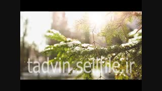 دانلود فوتیج برف