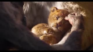 تریلر فیلم شیر شاه - The Lion King