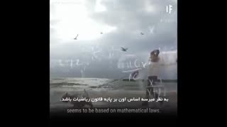 آیا ما در یک شبیه ساز زندگی می کنیم؟