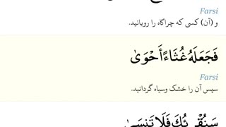 استاد شاکر نژاد - سوره اعلی