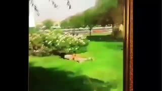 تفریح اراذل واوباش با آتش زدن مردم