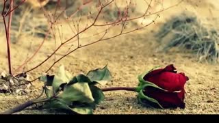 سرزمینِ : شعر و خوانش صنم نافع