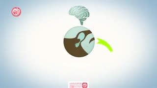 سیکل قاعدگی چگونه اتفاق می افتد؟
