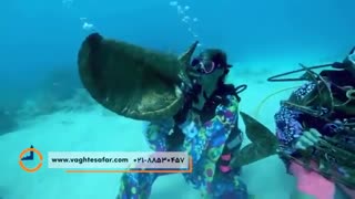 جشنواره موسیقی زیر آب در آمریکا