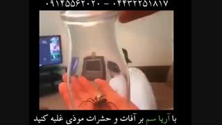 تا حالا عنکبوت خوردین؟؟؟