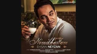 دانلود آهنگ جدید احسان نی زن به نام نمیخواستم
