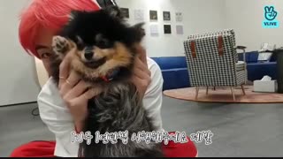 V live ته ته با سگ گوگولیشششششش♡_♡