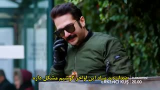 دانلود قسمت 23 سریال پرنده سحر خیز با زیرنویس فارسی