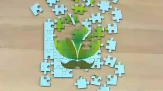 فروشگاه آنلاین پیرپاپا