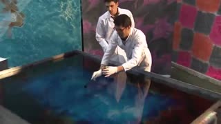 هنر نقاشی خیره کننده روی فرش