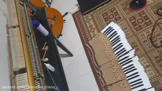 کوک و رگلاژ انواع پیانو با کیفیت عالی (کوشا ۰۹۱۲۵۶۳۳۸۹۵)