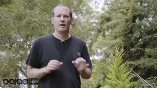 تکنیک های خلاقانه در عکاسی(خلاقیت در عکاسی از گیاهان)