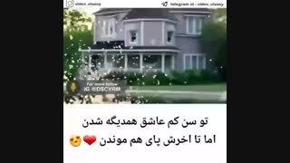 عشق پایدار
