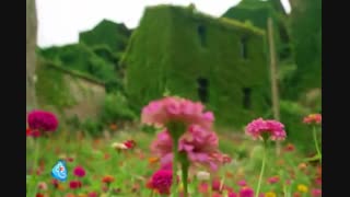 زمین گمشده ماهیگیران چینی