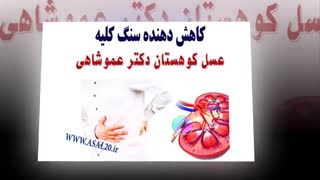 خرید عسل طبیعی خارشتر - فروشگاه عسل کوهستان دکتر عموشاهی