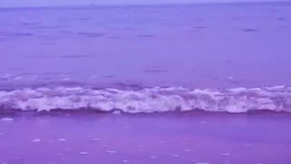 Dalibor Krigovský feat. Sandra Gambino - My Last Suicide