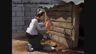 احول و مریشکه که ی