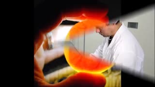 تخم نطفه دار طیور و دستگاه مولد شرکت آریا طیور