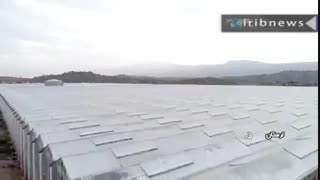 اشتغال زایی به سبک هیدروپونیک در مزرعه ای چهار فصل