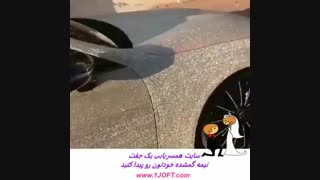 همسریابی یک جفت