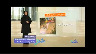 کوکی ها اطلاعات وب سایت را به صورت شخصی سازی شده نمایش میدهند