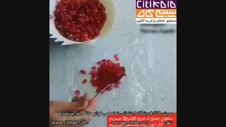تزیین انار شب چله - فروشگاه اینترنتی سیتی کالا