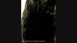 جراتشو داری بری تو این تاریکی؟