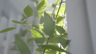 موزیک ویدئوی فوق العاده We loved از BOL4 & 20 years of age