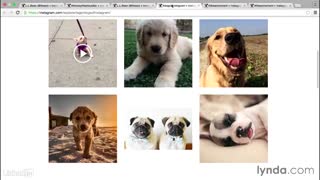 آموزش بازاریابی محتوا با عکس-قسمت هفتم(تگ کردن)