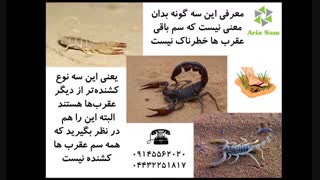 گونه های خطرناک عقرب در ایران