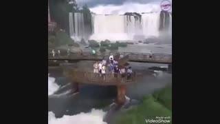 آخرین نامه نویسنده بزرگ و خالق کتاب صد سال تنهایی، گابریل گارسیا مارکز، به خوانندگانش