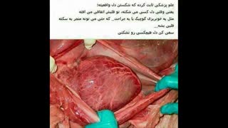 بیا علمیشم ثابت شد ...