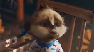 گزارش گرهای مفت خور (توضیهات)مخصوصا شما گزارشگر عزیز