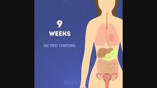 دوران بارداری خانم ها