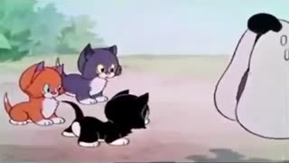 Silly Symphony More Kittens